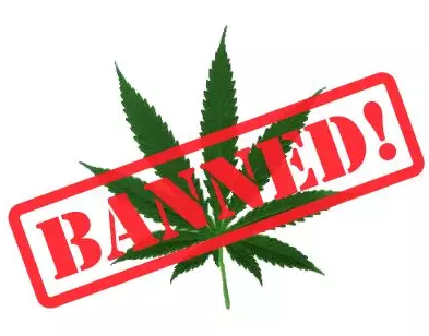 加州华裔议员惊天提案：立法强制各城市开设大麻店，每万人至少有一间……
