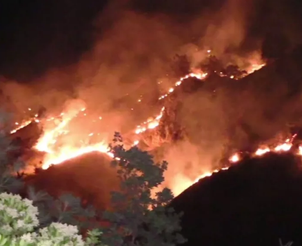 戴维斯| 北加州山林大火，已烧毁2200英亩，125居民已被疏散！烟雾周一将飘入湾区