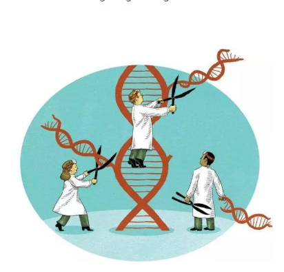 加州出台美国首例“基因魔剪”法案：不要自行改变你的DNA