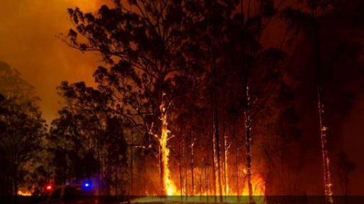 澳山火难灭！蓝山地区约20处房屋遭殃 烟霾笼罩悉尼
