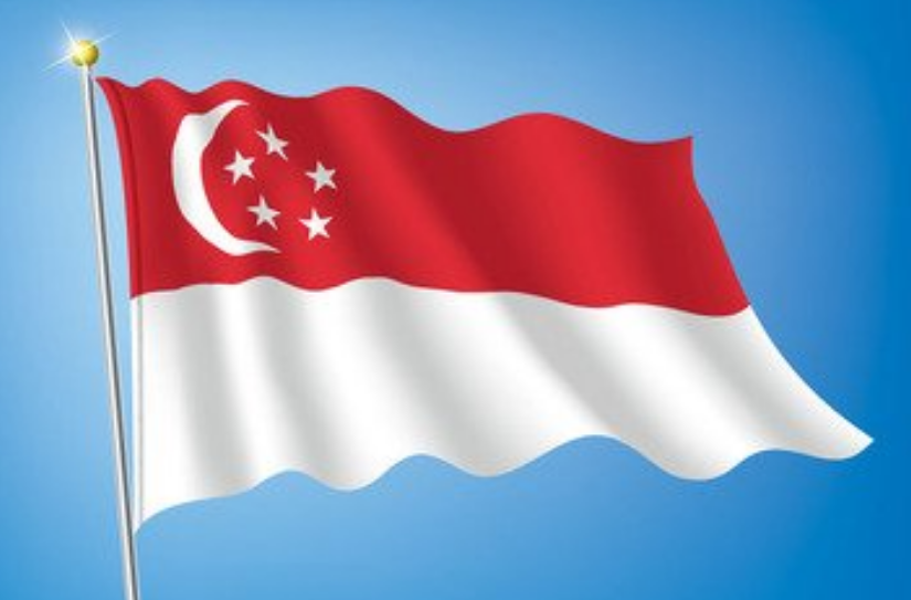 新加坡各界盛赞“一国两制”方针在澳门成功实践