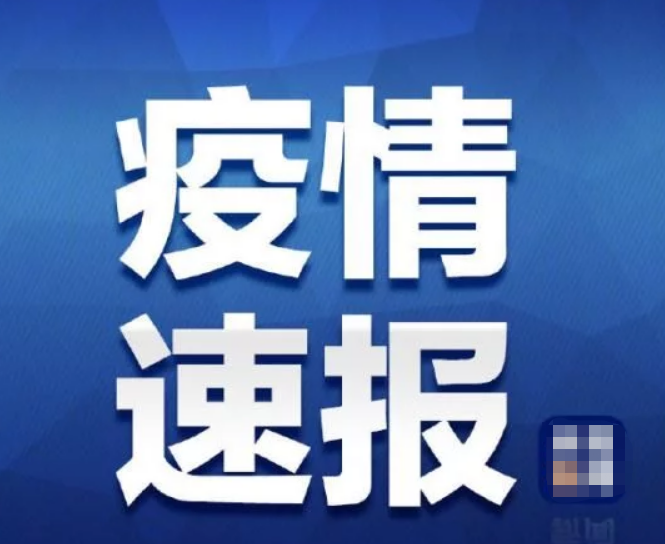 香港新增37例新冠肺炎确诊病例 累计报告超800例