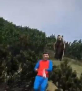 视频火了，12岁男童遇熊，听父指导成功逃生！