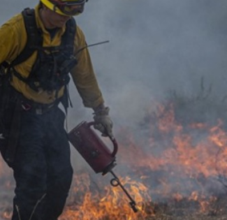 突发！加州消防演练引起7500亩野火！ 