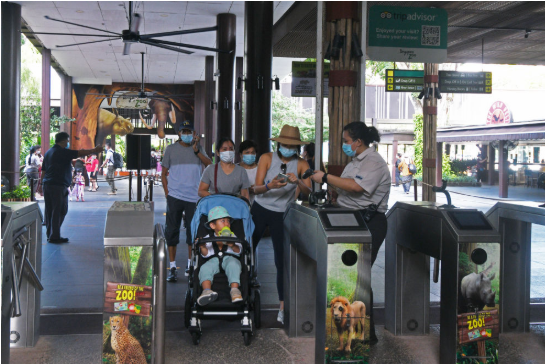 新加坡动物园向公众重新开放!