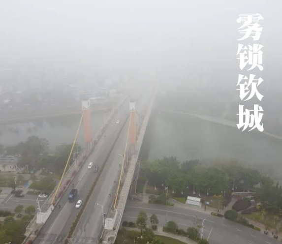 钦城被大雾笼罩，犹如仙境！