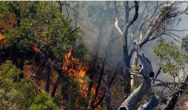 澳大利亚一飞机坠毁后引发丛林大火 机上2人死亡！