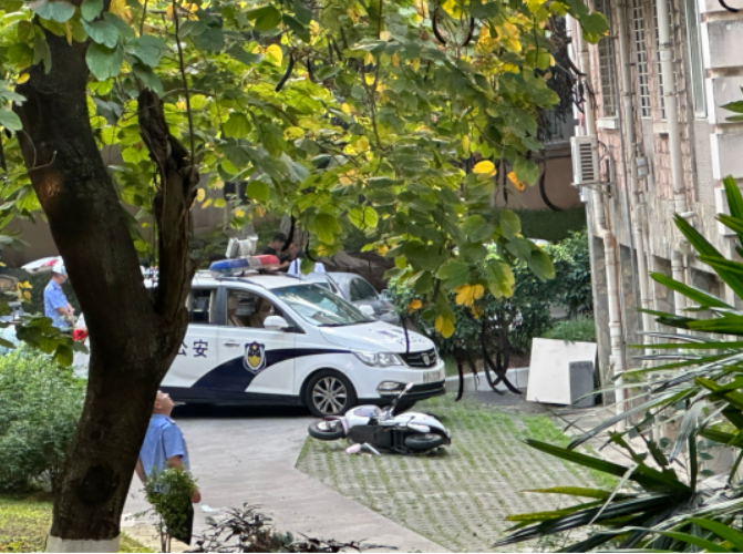 楼上坠落树根，柳州18岁电动车手被砸中，受伤昏迷！